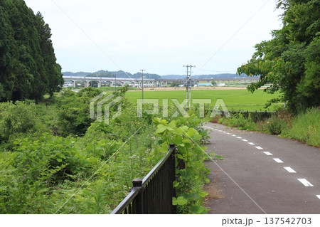 高台移設の仙石線旧線活用した遊歩道：奇跡の丘より陸前小野方面を望む 137542703