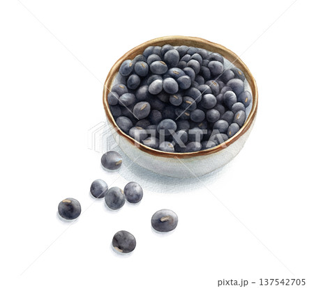 乾物の黒豆の水彩イラスト（影あり）　丹波黒豆 137542705