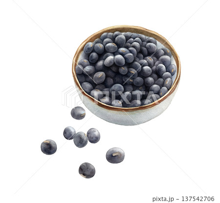 乾物の黒豆の水彩イラスト（影なし）、丹波黒豆、透過背景 137542706