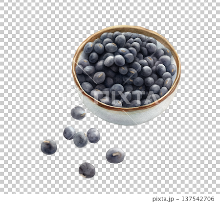 水彩插畫：乾黑豆（無陰影），坦巴黑豆，透明背景 137542706