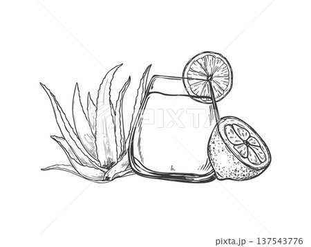 Aloe vera leaf, lemon slices, glass with non alcoholic mocktail vector isolated illustration painted by black inks. Drink in tumbler, fresh succulent plant, citrus fruit for wellness, detox product Aloe vera leaf, lemon slices, glass with non alcoholic mocktail vector isolated illustration painted by black inks. Drink in tumbler, fresh succulent plant, citrus fruit for wellness, detox product 137543776