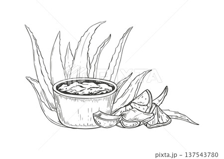 Aloe vera leaves, sliced lemon wedges, and bowl with mixture of ingredients monochrome vector illustration in black and white. Fresh cut succulent leaf, citrus fruit for natural cosmetic treatment 137543780