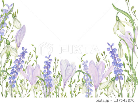 Spring Snowdrops watercolor horizontal border on isolated background. White Galanthus flower frame with copy space for text. Floral composition for greeting card, wedding invitation, packaging Spring Snowdrops watercolor horizontal border on isolated background. White Galanthus flower frame with copy space for text. Floral composition for greeting card, wedding invitation, packaging 137543870