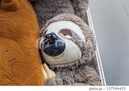 Close-up of a cute fluffy sloth plush toy on a store shelf. Close-up of a cute fluffy sloth plush toy on a store shelf. 137544435