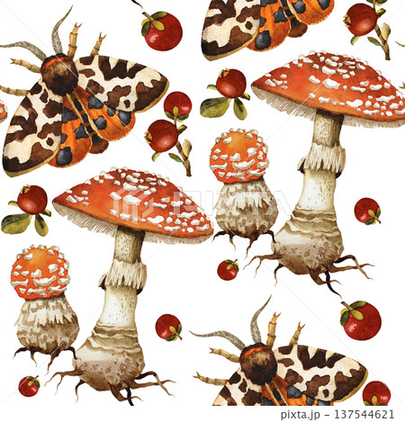 Amanita mushrooms and moth pattern watercolor illustration on white background. Pattern drawing. 137544621