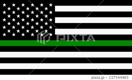 USA flag with thin green line 137544965
