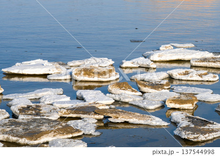 Floating Ice Floes Drifting on Calm Winter Sea Water Under Soft Natural Light 137544998