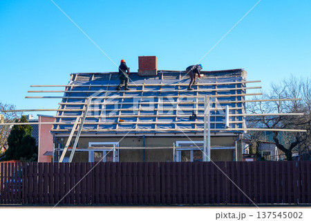Roofers Installing Wooden Battens on House Roof During Renovation Under Clear Blue Sky 137545002