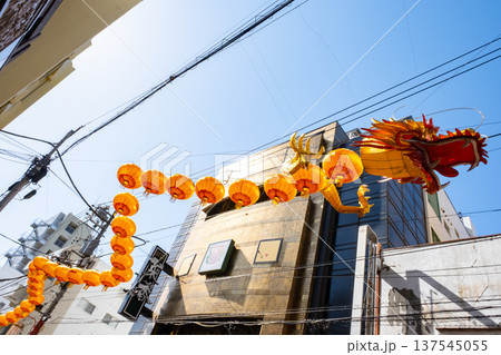 横浜中華街の竜  ドラゴン提灯 137545055