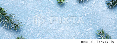 Panoramic Christmas banner with snowy fir 137545119