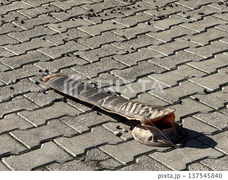 Damaged tire stopper on concrete pavement with sunlight casting shadows and visible loose gravel 137545840