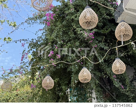 Wicker lanterns hanging among green foliage and pink flowers create serene outdoor ambiance 137545862