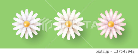 Three flowers on a green background. White, light blue, and pink daisies. Spring and summer flowers. 137545948