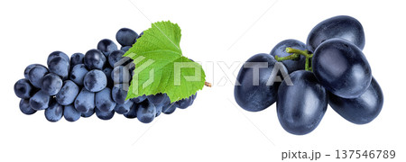 dark blue grape berry bunch isolated on white background dark blue grape berry bunch isolated on white background 137546789