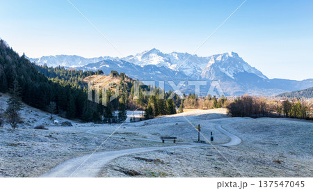 Wide alpine mountain panorama with snowy Bavarian Alps and frosty countryside landscape Wide alpine mountain panorama with snowy Bavarian Alps and frosty countryside landscape 137547045