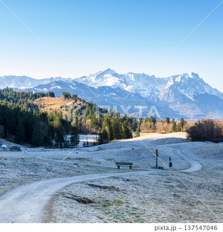 Square alpine winter meadow landscape with hiking trail and snowy Bavarian Alps mountains 137547046