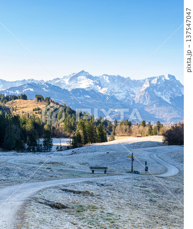 Vertical alpine winter landscape with winding hiking trail and snowy mountain ridge in Bavaria Germany 137547047
