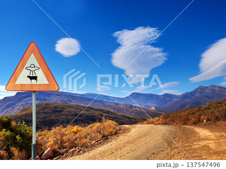 Desert, sign and alien abduction in the mountains with a ufo warning along a dirt road on a blue sky. Nature, summer and and a route into area 51 with extraterrestrial signage on an empty landscape Desert, sign and alien abduction in the mountains with a ufo warning along a dirt road on a blue sky. Nature, summer and and a route into area 51 with extraterrestrial signage on an empty landscape 137547496