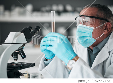Research, senior scientist in lab with test tube and microscope for covid drug or pharmaceutical study. Science, laboratory and mature man with mask, vaccine in glass and medical analysis development 137547728