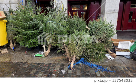 Post-holiday discarded christmas trees on street corner 137548033