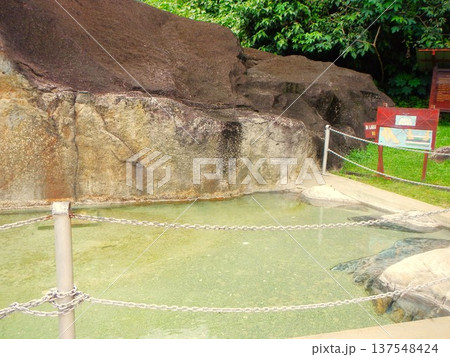 ボルネオ島ポーリン温泉の露天温泉プール（マレーシア） 137548424