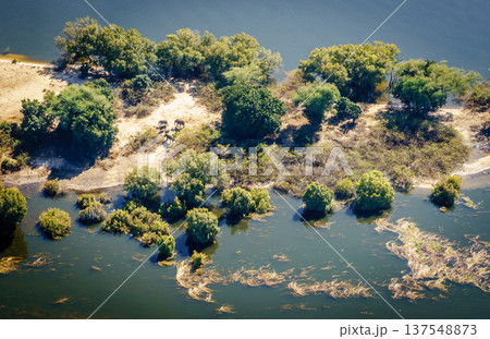 Elephants by the river 137548873