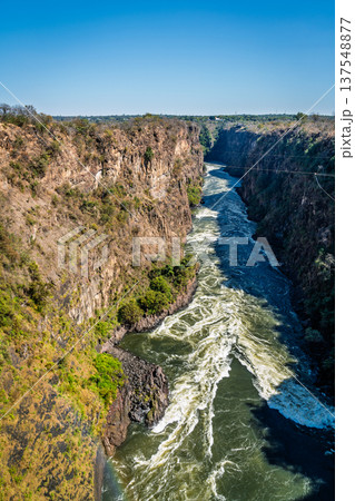Zambezi River Zambezi River 137548877