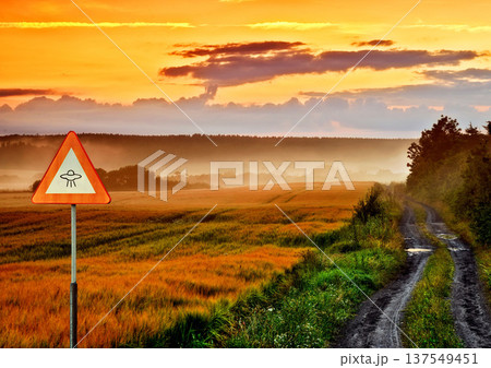 Alien, spaceship sign and road in nature for UFO warning, science fiction and space abduction. Area 51, travel and signage for extraterrestrial caution in countryside, meadow and natural landscape 137549451