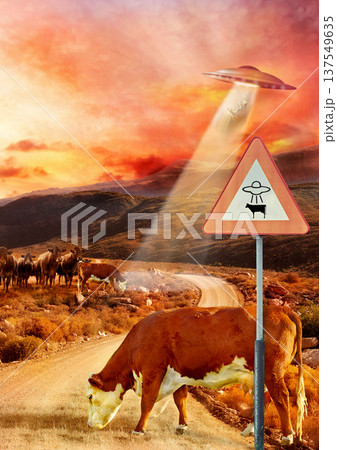 Ufo, spaceship light and cow abduction in countryside for mission, science fiction and fantasy in sky. Spacecraft, field and flying saucer from outer space for invasion, futuristic and mystery Ufo, spaceship light and cow abduction in countryside for mission, science fiction and fantasy in sky. Spacecraft, field and flying saucer from outer space for invasion, futuristic and mystery 137549635