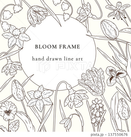 Elegant bloom frame with hand drawn line art spring flowers. Vector botanical illustration featuring tulips daffodils lily of the valley for wedding invitation greeting card and organic packaging. 137550676