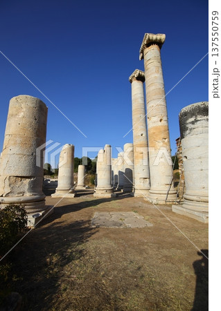 The ruins of the ancient city of Sardes, the capital of the Lydian State, are located in the town of Sart in Salihli district today. The ruins of the ancient city of Sardes, the capital of the Lydian State, are located in the town of Sart in Salihli district today. 137550759
