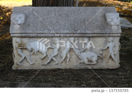The ruins of the ancient city of Sardes, the capital of the Lydian State, are located in the town of Sart in Salihli district today. The ruins of the ancient city of Sardes, the capital of the Lydian State, are located in the town of Sart in Salihli district today. 137550785