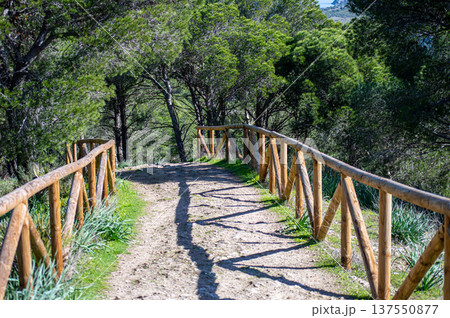 Caminito del Rey, The King's Path. Walkway pinned along the steep walls of a narrow gorge in Andales, Spain Caminito del Rey, The King's Path. Walkway pinned along the steep walls of a narrow gorge in Andales, Spain 137550877