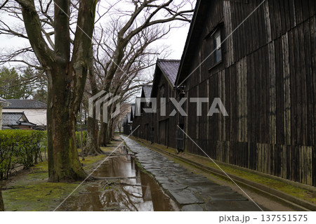 雨の山居倉庫とケヤキ並木(酒田市) 雨の山居倉庫とケヤキ並木(酒田市) 137551575