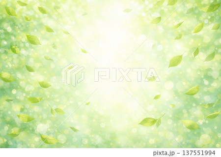 新緑の葉と光の水彩背景 ナチュラルなボタニカルグリーンバックグラウンド素材 新緑の葉と光の水彩背景 ナチュラルなボタニカルグリーンバックグラウンド素材 137551994