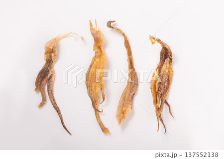 するめいか　げそ（魚介乾製品） 137552138