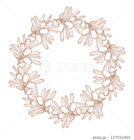 Outline Sea Buckthorn Circular Wreath. Botanical Round Frame with Branch Berries with Empty Copy Space. Isolated Line Art hand-drawn Template on White. Vector illustration 137552405