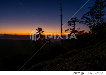 大台ヶ原山で見た夕焼けに染まる山並みと木々のシルエット 137552484