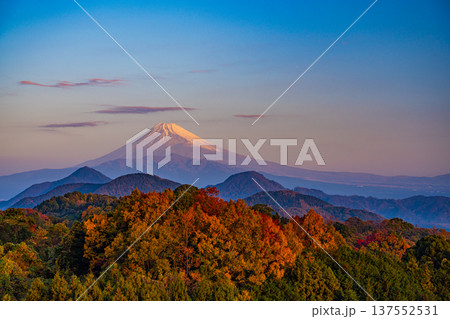 (静岡県)晩秋の伊豆葛城山から富士山 (静岡県)晩秋の伊豆葛城山から富士山 137552531