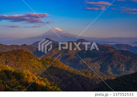 （静岡県）晩秋の伊豆葛城山から富士山 137552533