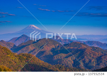 (静岡県)晩秋の伊豆葛城山から富士山 (静岡県)晩秋の伊豆葛城山から富士山 137552534