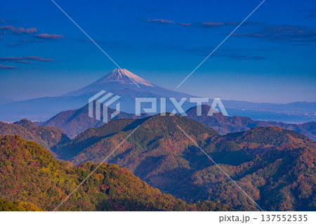 （静岡県）晩秋の伊豆葛城山から富士山 137552535