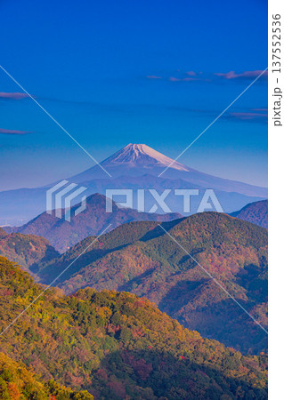 （静岡県）晩秋の伊豆葛城山から富士山 137552536