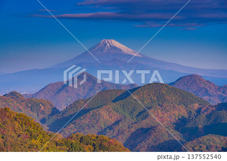（静岡県）晩秋の伊豆葛城山から富士山 137552540