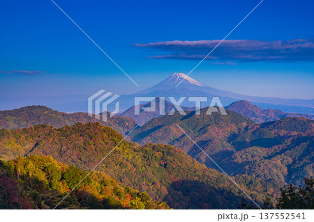 （静岡県）晩秋の伊豆葛城山から富士山 137552541