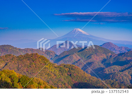 （静岡県）晩秋の伊豆葛城山から富士山 137552543