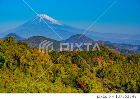 （静岡県）晩秋の伊豆葛城山から富士山 137552548