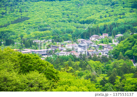 新緑の中の平湯温泉街《岐阜県 高山市 奥飛騨温泉郷》 137553137