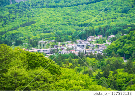 新緑の中の平湯温泉街《岐阜県 高山市 奥飛騨温泉郷》 137553138