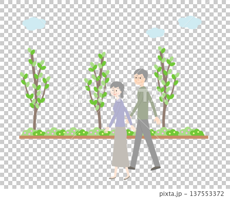 Senior couple taking a walk 137553372